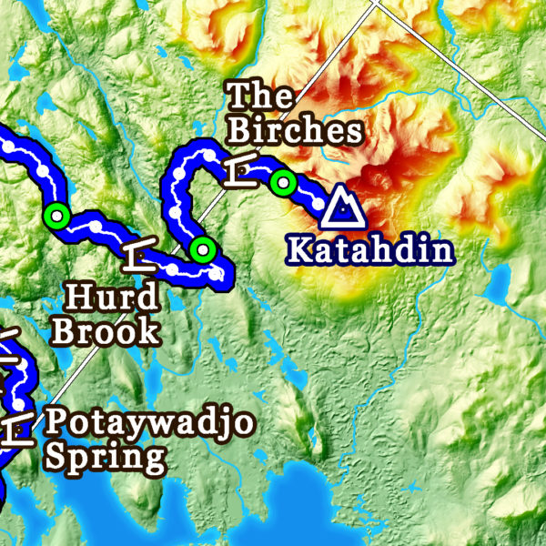 G: 2021 Appalachian Trail Map - 10 feet wide, on professional canvas - Calm Hypsometric colored version. - Image 4