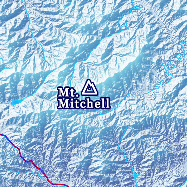 H: 2021 Appalachian Trail Map - 10 feet wide, on professional canvas - State colored version. - Image 6