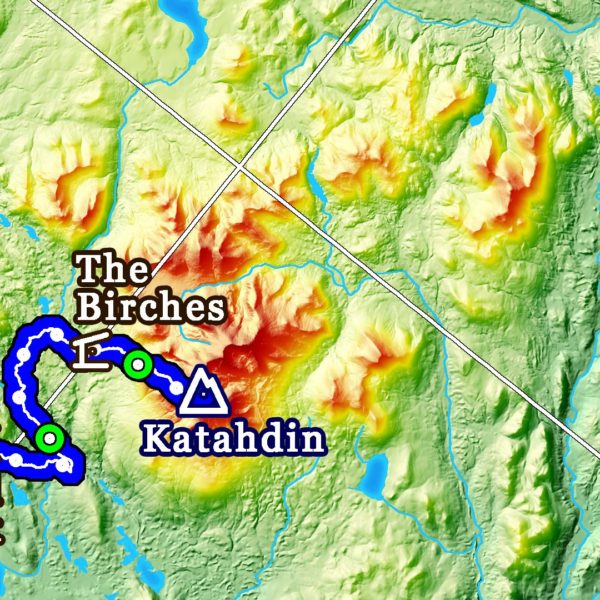B1: 2024 Appalachian Trail Map - 10 feet wide, on professional canvas - Calm Hypsometric colored version. - Image 7