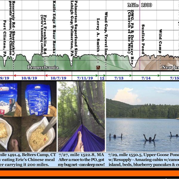 Z: Fully Customized Appalachian Trail Map - 10 feet wide, on professional canvas. - Image 7