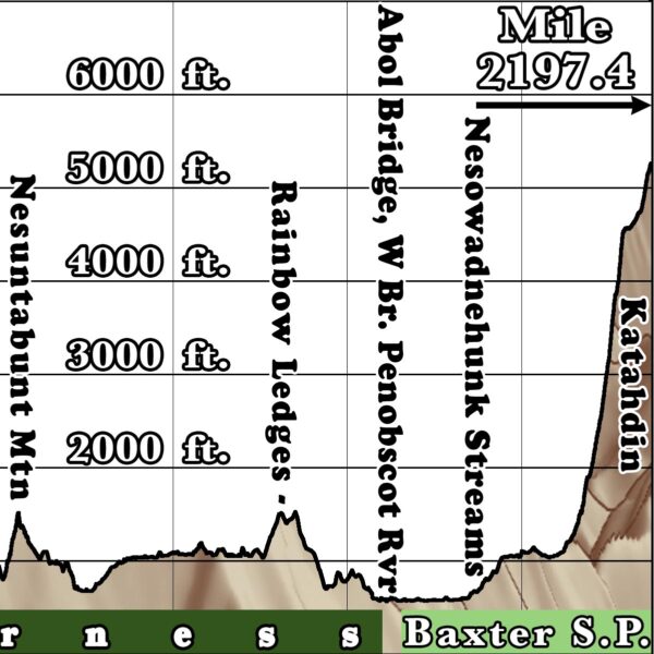 B2: 2024 Appalachian Trail Map - 10 feet wide, on professional canvas - State colored version - Image 8