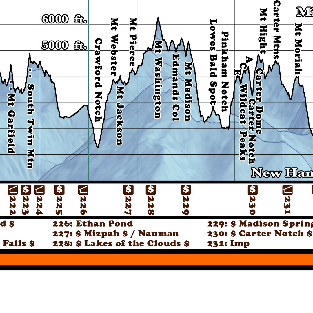 F1: 2025 Appalachian Trail Map - 10 feet wide, on professional canvas - Calm Hypsometric colored version. - Image 12