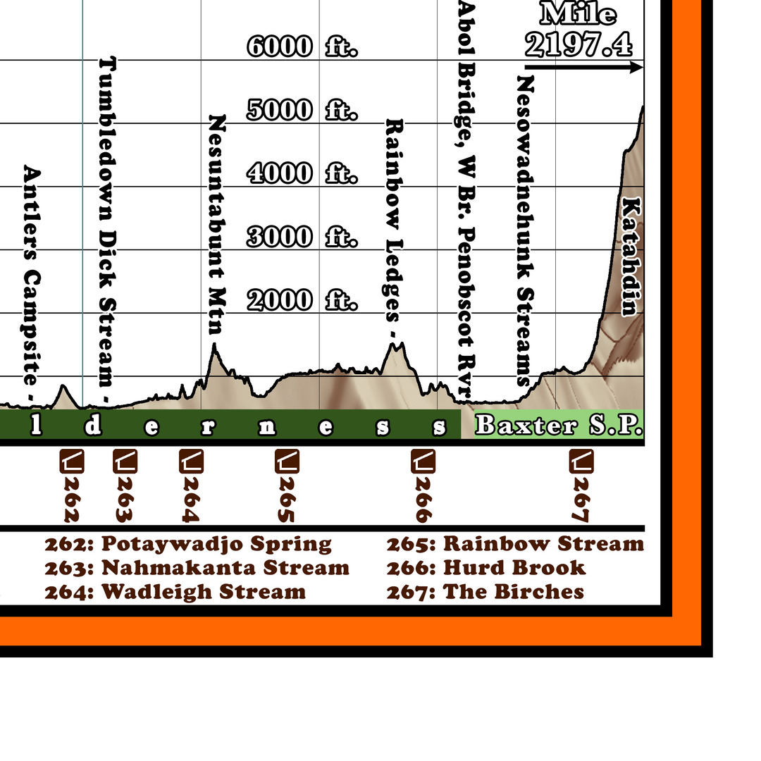 F1: 2025 Appalachian Trail Map - 10 feet wide, on professional canvas - Calm Hypsometric colored version. - Image 13
