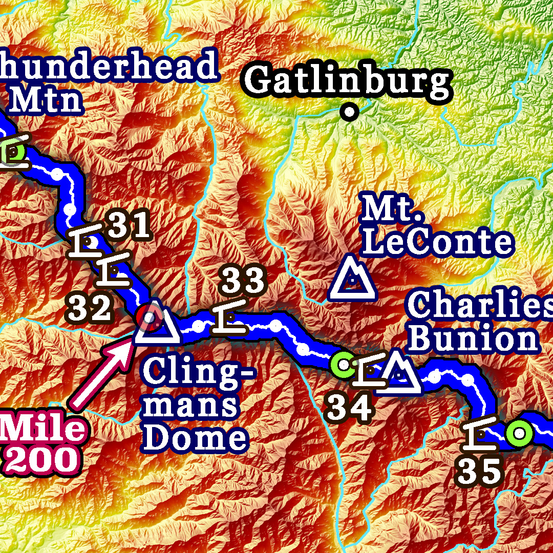 F1: 2025 Appalachian Trail Map - 10 feet wide, on professional canvas - Calm Hypsometric colored version. - Image 3