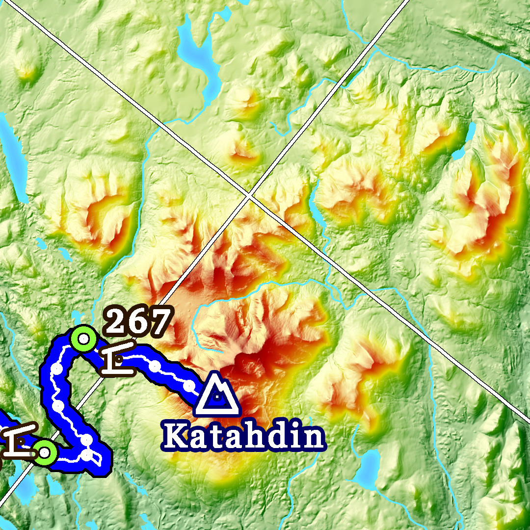 F1: 2025 Appalachian Trail Map - 10 feet wide, on professional canvas - Calm Hypsometric colored version. - Image 8