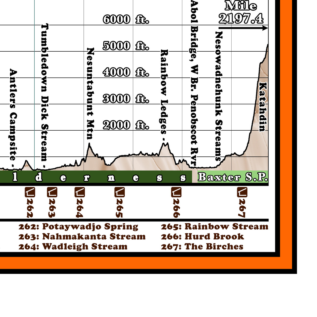 F2: 2025 Appalachian Trail Map - 10 feet wide, on professional canvas - State colored version - Image 15