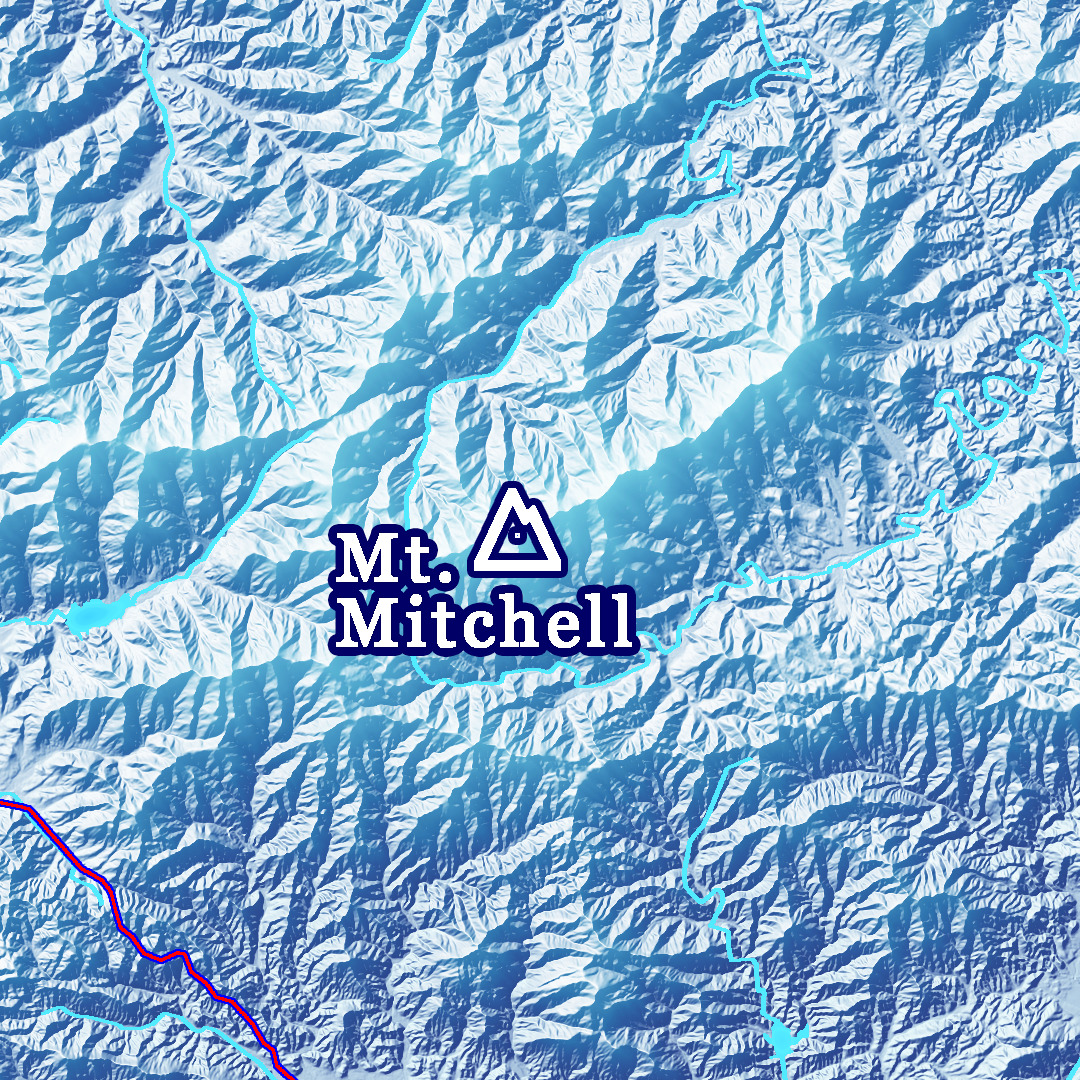 F2: 2025 Appalachian Trail Map - 10 feet wide, on professional canvas - State colored version - Image 5